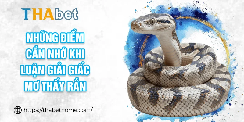 Những điểm cần nhớ khi luận giải giấc mơ thấy rắn